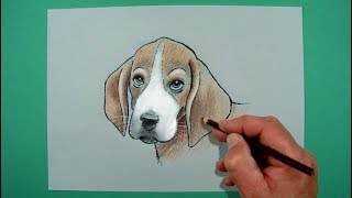 Wie zeichnet man einen Beagle  Zeichnen für Kinder [upl. by Dine373]