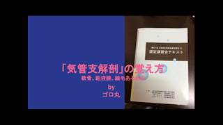 〔語呂合わせ〕＃5 「気管支解剖」の覚え方軟骨、粘膜、線毛あるある 呼吸療法認定士 [upl. by Rentschler]