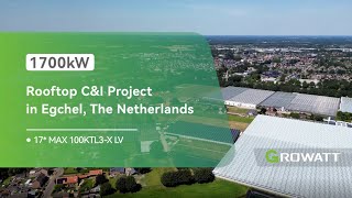 Sustainable Agriculture Meets Solar Wijnen Square Crops 17MW Growatt Installation [upl. by Idieh]