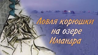 Ловля корюшки на озере Имандра  Smelt fishing on lake Imandra [upl. by Elston50]