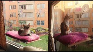 como hacer una cama para gatos en la ventana FACIL Y ECONOMICA [upl. by Wanfried]