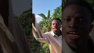 😂😂 comedy ghpokicomedy comedyfilms funny ghaniancomedy comedymovies duet ghcomedy [upl. by Leifeste]