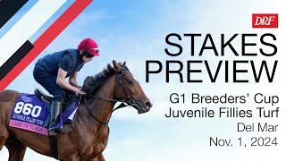 Grade 1 Breeders Cup Juvenile Fillies Turf Preview  November 1 2024 [upl. by Eelyrag]