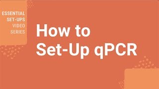 How Do I Setup qPCR [upl. by Olen]