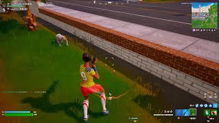 Fortnite20241108195049 [upl. by Annoda170]