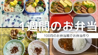 100均のお弁当箱で作る1週間のお弁当 [upl. by Nirot572]