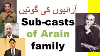 SubCaste of Arain  آراءيوں کی گوتيں  mian  ramay  chaudhry  mehar  bhutta  bhutto  JH TV [upl. by Ensign]