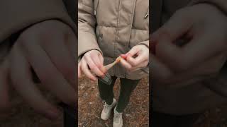 Bushcraft outdoors survival campinglife camping bushcraft survivalgirl cooking [upl. by Tesler]