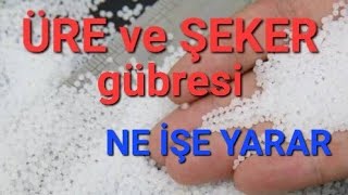 ÜRE ve ŞEKER gübresi hangi bitkilere kullanılır üregübresi tropikaltopraktv şekergübresi [upl. by Assiram309]