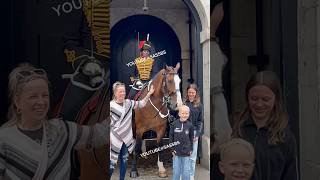 Horse Head Massage For The Brave😂 Epic Moments Horse Guards [upl. by Ellis961]