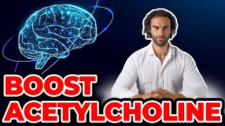 How To Increase Acetylcholine Naturally Hidden Secrets [upl. by Ullyot]