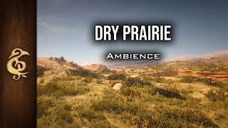 Dry Prairie  Birds Howling Nature Relaxing ASMR Ambience  3 Hours [upl. by Sane993]