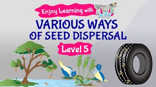 Various ways of Seed Dispersal  Science  Grade34  TutWay [upl. by Shaddock728]