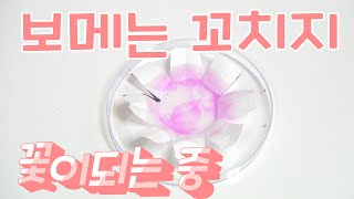 봄에는 꽃놀이지 집에서 꽃놀이 하기 지시약을 이용한 마술꽃잎 만들기 [upl. by Kelula579]