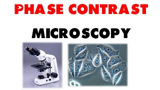 Phase contrast microscopy [upl. by Annaxor]