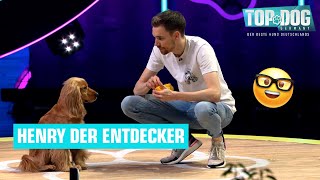 Neugierig neugieriger Henry im Parcours 🥰🐶  Top Dog Germany 2022 [upl. by Vidda]