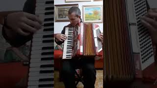 Queen  Im Going Slightly Mad  Accordion Cover By Paul Arrangement [upl. by Wedurn]