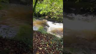 Okehampton Castle  Devon Rivers asmr river water calming holiday [upl. by Herc]