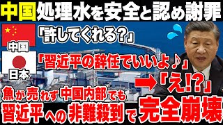 中国が突然の謝罪！日本を罵りデマを流した結果、中国国内の魚が売れなくなり完全崩壊【ゆっくり解説】 [upl. by Yllrebmik]