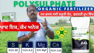 ਚਾਰ ਤੱਤਾਂ ਵਾਲੀ ਕੁਦਰਤੀ ਖਾਦ ICL polysulphate use in paddy cotton crop [upl. by Darum]