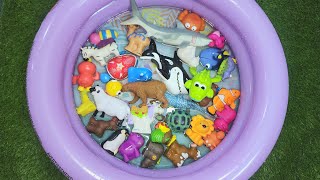 Sea Zoo  Wild Animals toys in water for kids Animal names and Fun facts [upl. by Sherborne]