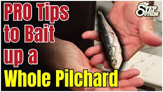 Baiting a Whole Pilchard like a Pro  Mastering Fishing Techniques  Step Outside with Paul Burt [upl. by Yur]