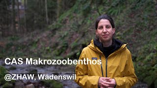 CAS Makrozoobenthos ZHAW Wädenswil [upl. by Rozanne]