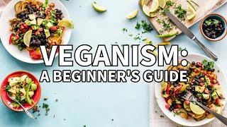 Veganism 101 A Beginners Guide [upl. by Legin721]