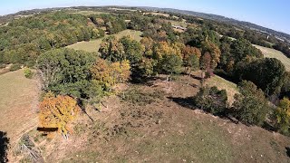 Skimming the tree tops looking for the fall colors in my Quicksilver Sport 2s [upl. by Ambrogino591]