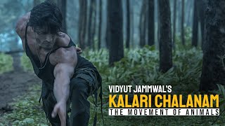 Vidyut Jammwals Kalari Chalanam  The Movement of Animals  Kalaripayattu  Martial Arts [upl. by Ronnholm]