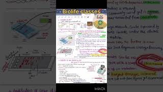 Gel electrophoresis explained in 1 minute Neet2025Biotechnology shorts [upl. by Still]