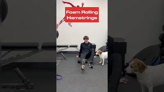 Foam Rolling Hamstrings [upl. by Cadell]