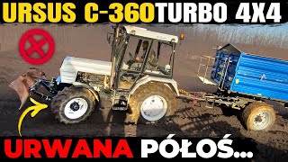 URSUS C360 TURBO 4X4  11 TON GRUZU w BŁOCIE POD GÓRĘ  URWANA PÓŁOŚ w BIAŁEJ PERLE [upl. by Nawram19]