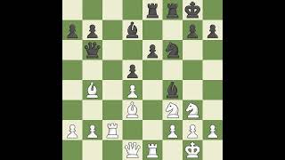 White PlatVBlack NguyenPFrench Defense Tarrasch Closed Main Line 8f6 9exf6 Nxf6 10OO B [upl. by Navada823]