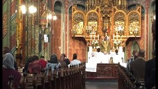 Faure  O Salutaris Hostia Élévation TLM [upl. by Margarette]