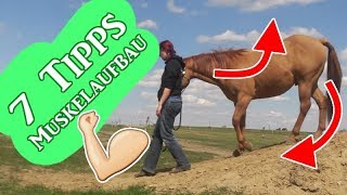 7 Tipps zum effektivem Muskelaufbau durch Bodenarbeit  Serenity Horses [upl. by Nosrettap272]