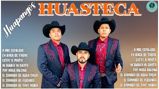 Trio Corcel Huasteco 🔥Los Mejores Huastecos De México 💥 Clásicos Huapangos Huastecos [upl. by Gnilrad]