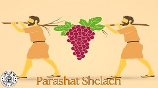 Spiritual Growth Through Parashat Shelach 2024 ONE NOT TO MISS [upl. by Ehcnalb]