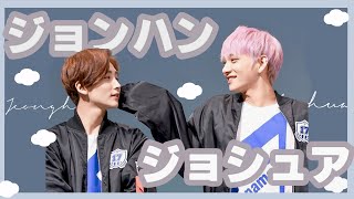 【ジスハン集】ジョンハンとジョシュア👼🏻🐰［SEVENTEENセブチ세븐틴］ [upl. by Bradman]