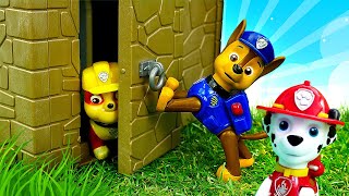 Patrulha Canina visita 2 castelos e vai ao zoológico Melhores episódios de Paw Patrol [upl. by Akciret]