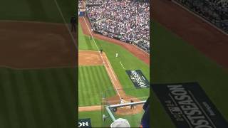 Pete Alonso NLDS Game 3 Home Run fan POV mlb [upl. by Maida531]