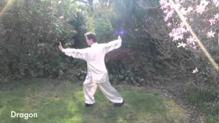 Awesome Qigong  18 lohan [upl. by Prussian531]