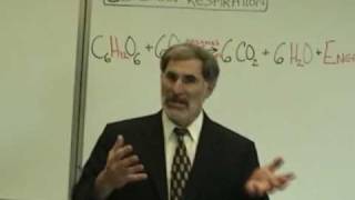 Professor Fink explains CELLULAR RESPIRATION Part 1 ATP NAD [upl. by Ellednek]