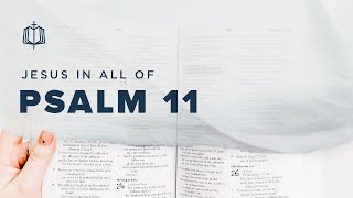 Psalm 11  Why Do You Hide Yourself  Bible Study [upl. by Jeffrey]