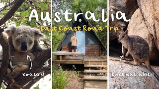 Exploring Magnetic Island How to See Koalas amp Rock Wallabies  Australia East Coast Road Trip [upl. by Emiline851]