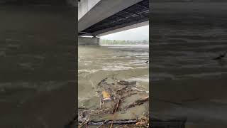 Hochwasser Wien Donau [upl. by Naek]