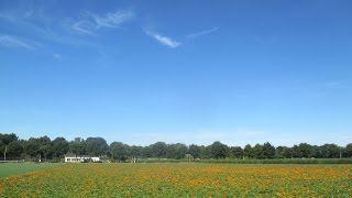 Weerbericht donderdagochtend Zonnig en warm [upl. by Ahteres405]