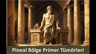 8 Pineal Bölge Primer Tümörleri [upl. by Enilec]