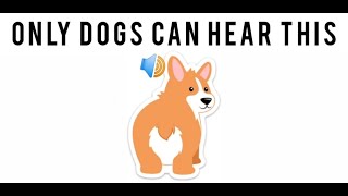 Only dogs can hear this high pitch sound [upl. by Rramal225]