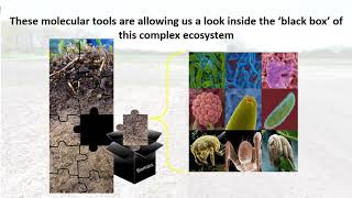 Dr Lori Phillips AAFC  Understanding Agricultural Soil Microbiomes [upl. by Ebonee35]